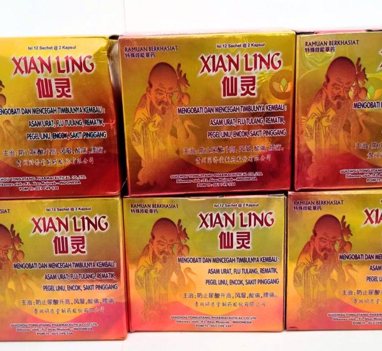 Xian Ling Capsule Traditional Chinese 100% original For Rheumatic Gout MuscleUric Acid - Image 3